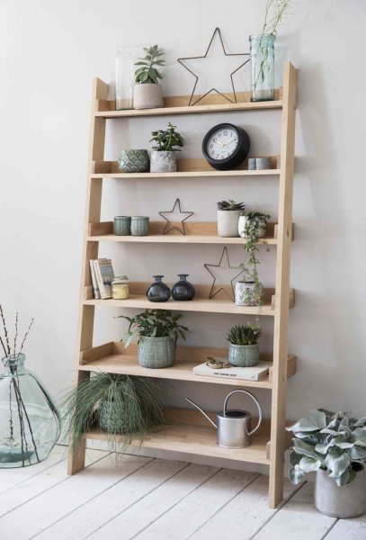 Practical Indoor Ladder Planter Ideas To Inspire You