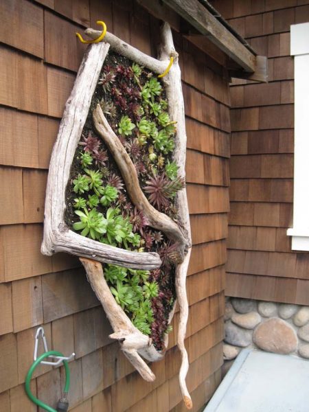 50 Amazing Vertical Garden Ideas To Spruce Up Your Home