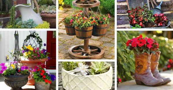 41 Beautiful Flower Pot Ideas