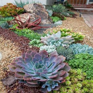 30 Marvelous Succulent Garden Ideas