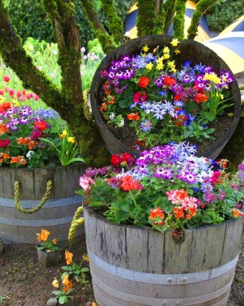 16 Easy To Make Affordable Wine Barrel Planters