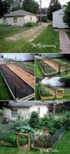 20 Ways To Grow Your Perfect Vegetable Garden