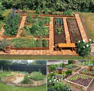 20 Ways To Grow Your Perfect Vegetable Garden