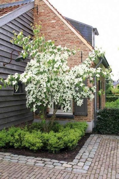 Corner-Garden-With-Tree-400x600.jpg