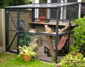 Best DIY Screened Cat Porches To Keep Your Kitty Safe