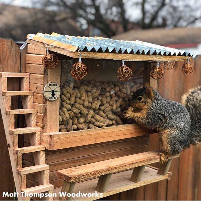 backyard squirrel catapult construction plns