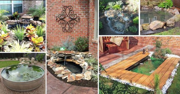 20 Creative DIY Backyard Pond Ideas For Your Garden