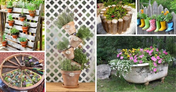 39 Unique Garden Container Ideas You Would Love To DIY