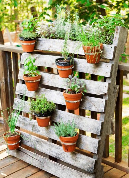 39 Unique Garden Container Ideas You Would Love To DIY