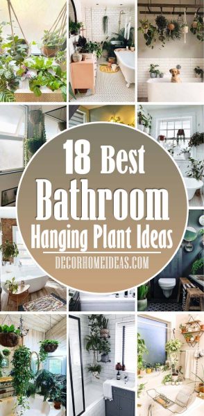 18 Best Hanging Plant Ideas For Bathroom That Will Make It Full Of Life