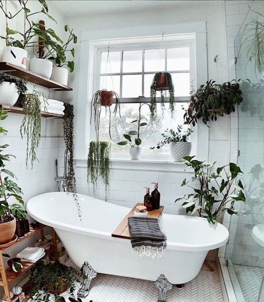 18 Best Hanging Plant Ideas For Bathroom That Will Make It Full Of Life