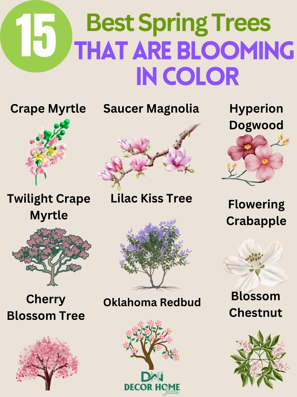 15 Amazing Flowering Spring Trees For Your Landscape