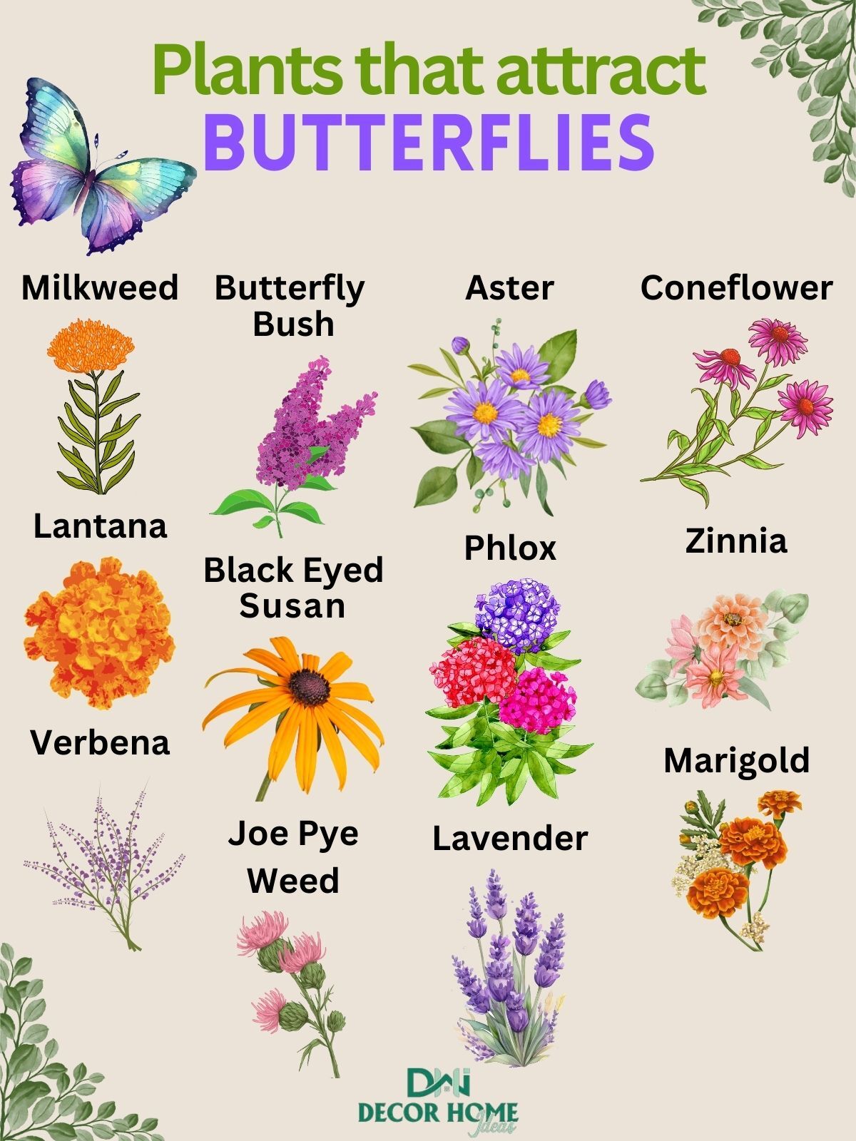 plants that attract butterflies