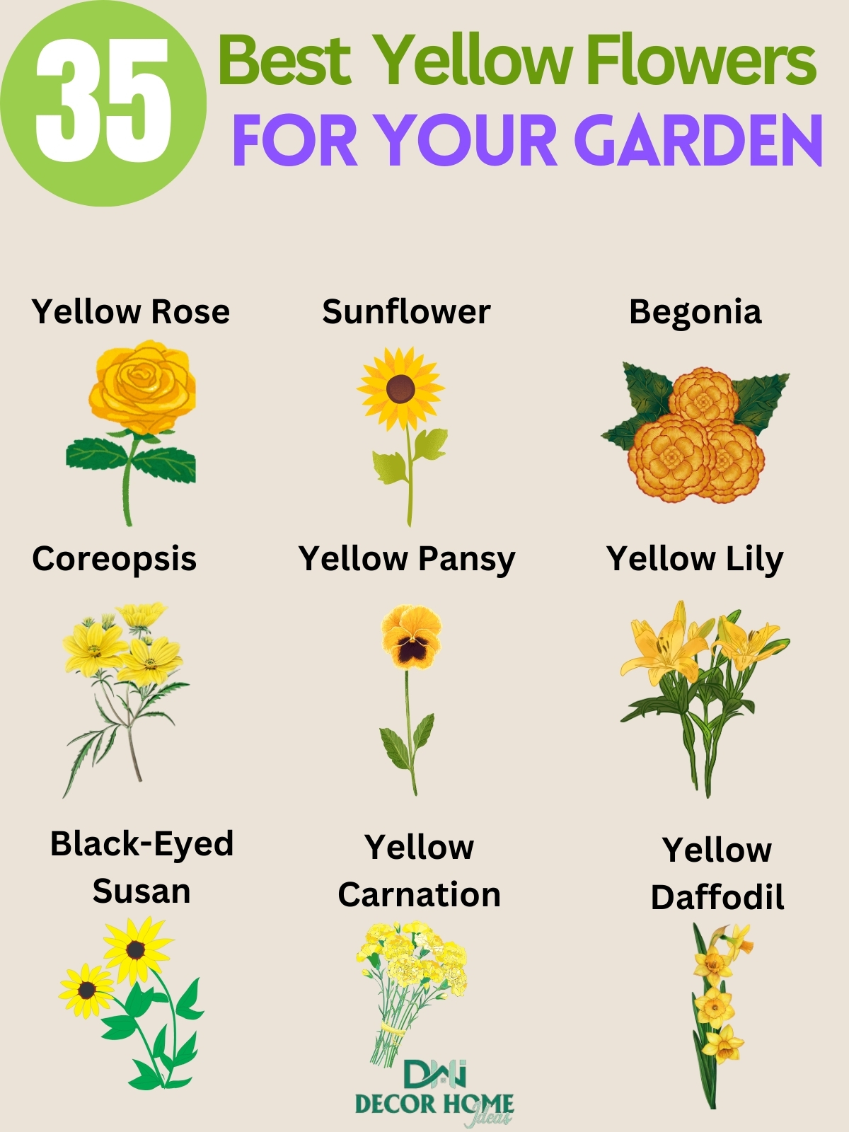 35 Best Types Of Yellow Flowers You Will Fall In Love With