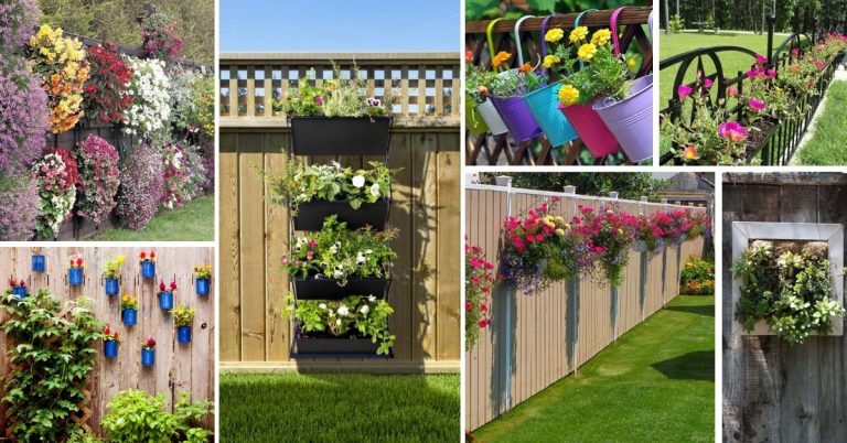 28 Best Fence Planters That Will Add More Beauty and Charm To Your Garden