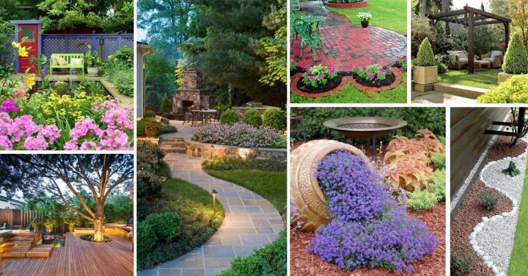 50 Most Beautiful Backyard Landscaping Ideas For 2024 Decor Home Ideas   Backyard Landscaping Ideas 768x402 