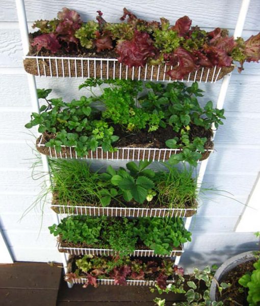 32 Most Creative Repurposed Garden Container Ideas