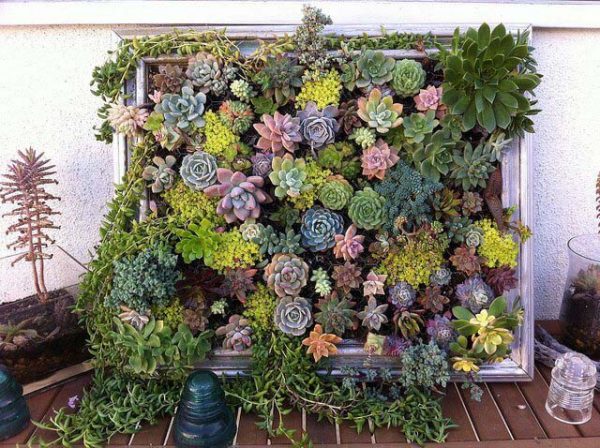 32 Most Creative Repurposed Garden Container Ideas