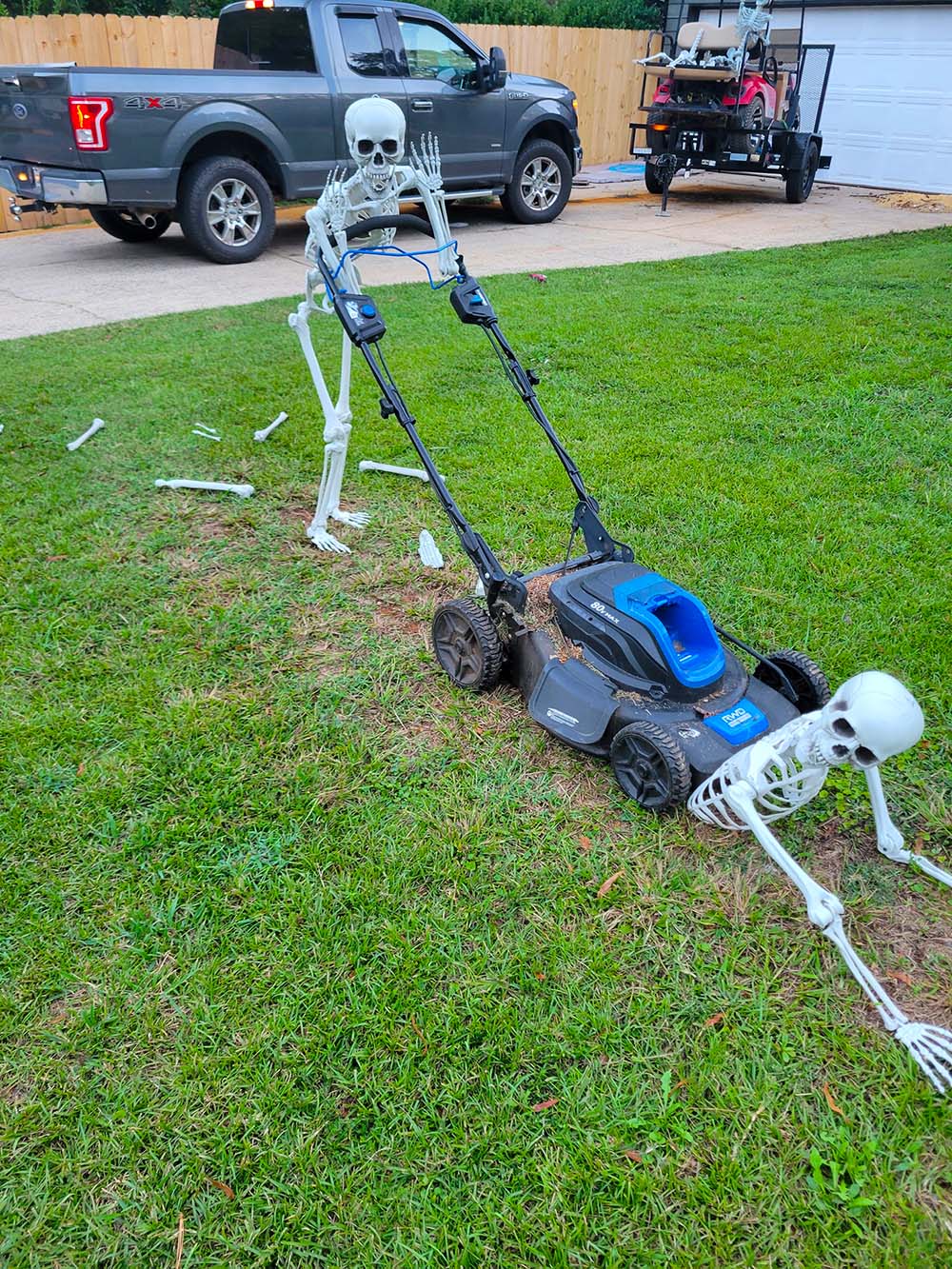 outdoor halloween decoration skeletons