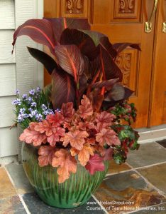 22 Most Beautiful Fall Flowers For Pots And Containers To Fill The 