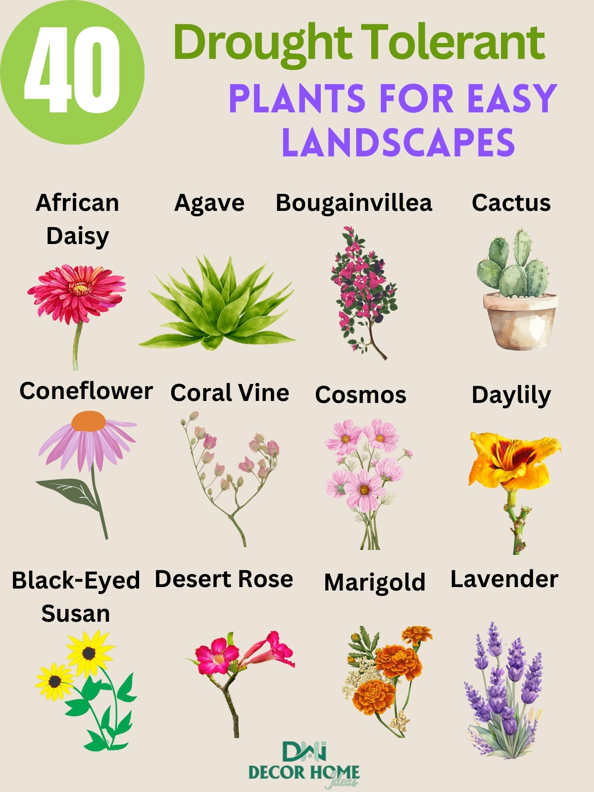 40 Most Beautiful Drought Tolerant Plants For Low Maintenance Landscapes