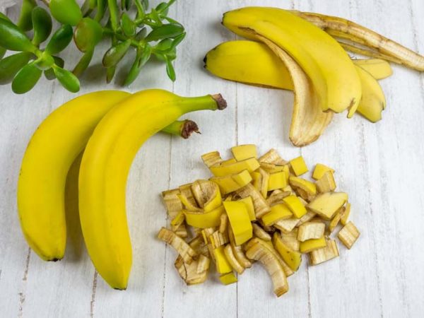 16 Amazing Ways To Use Banana Peels In Your Garden