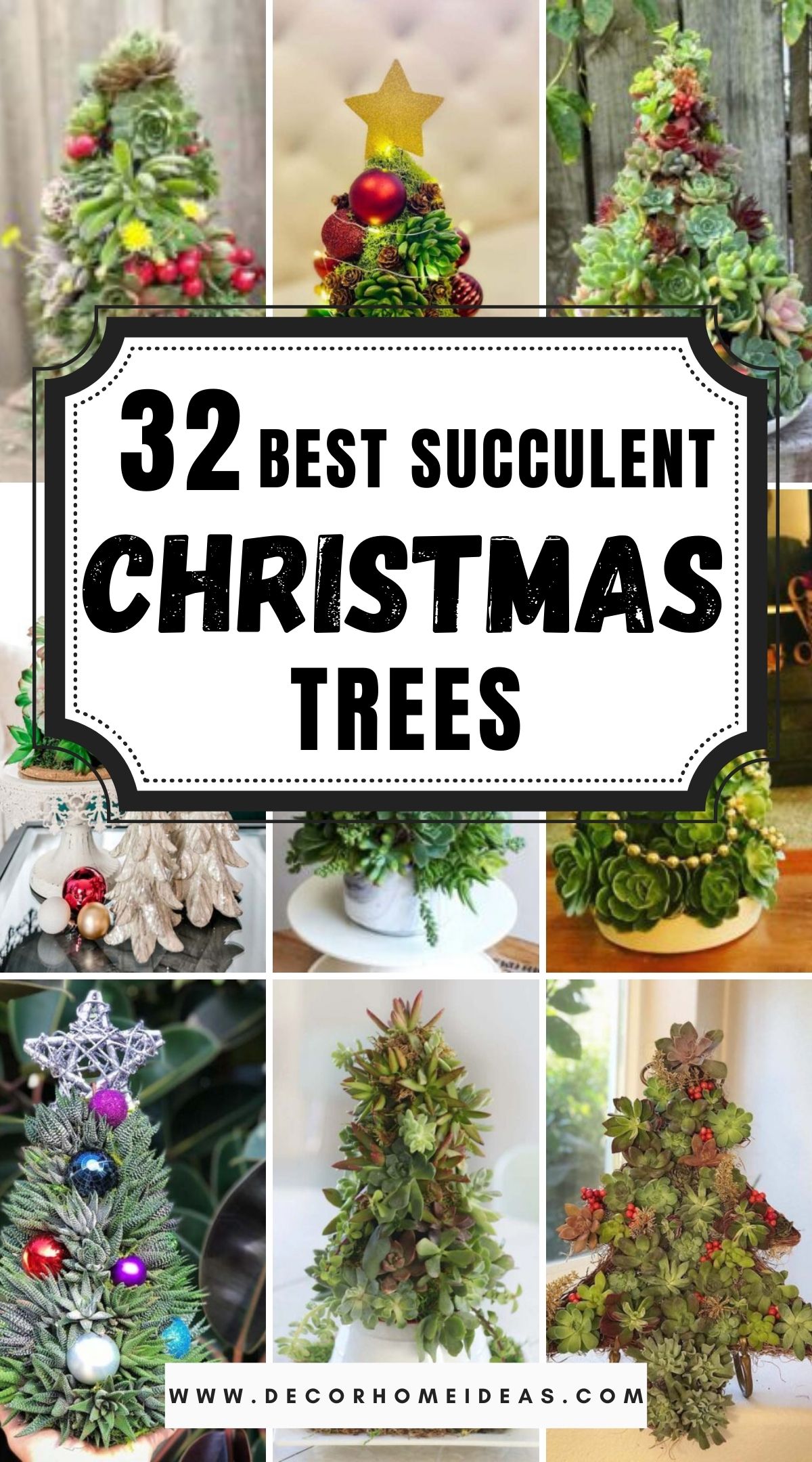 32 Best Succulent Christmas Trees 2