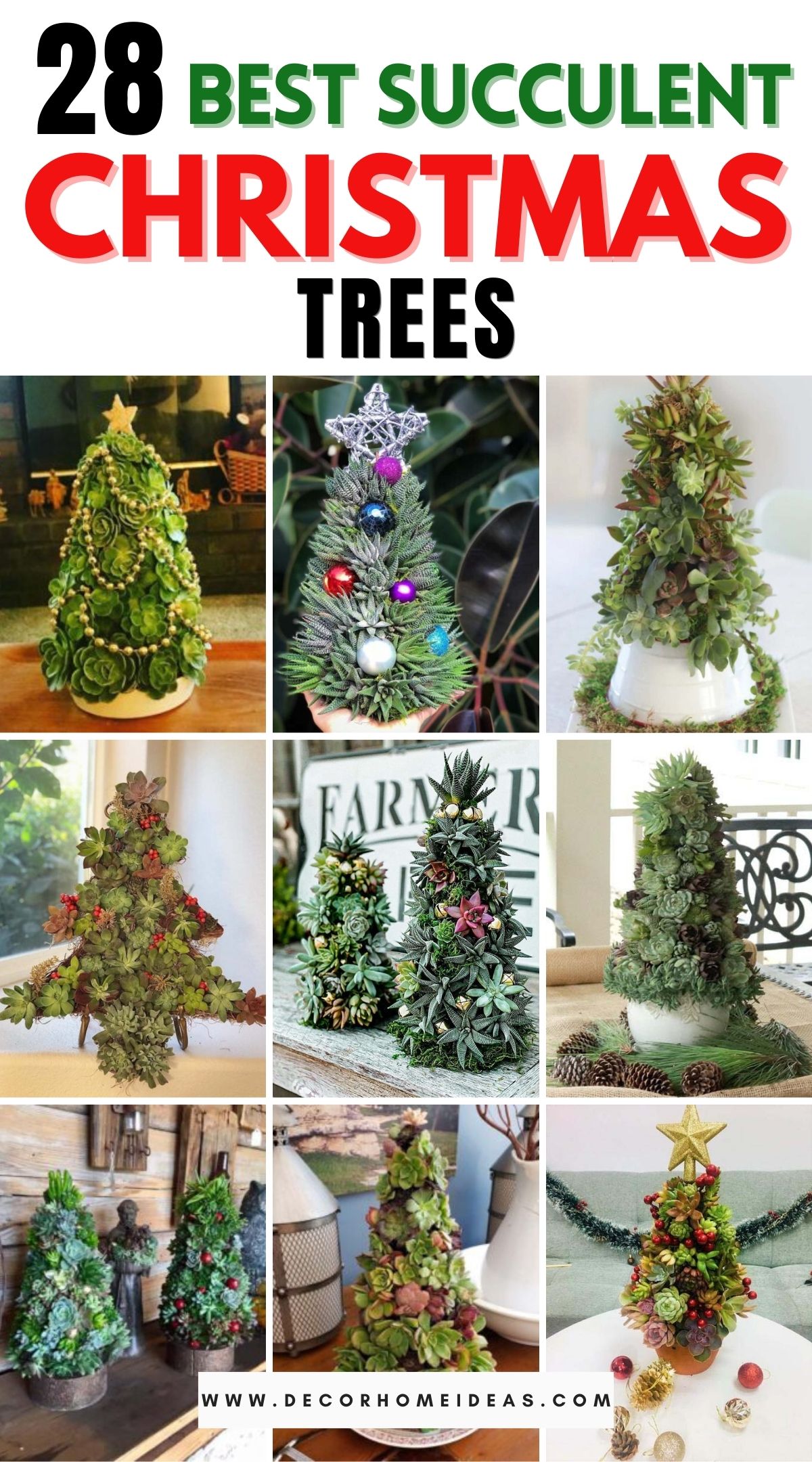 32 Best Succulent Christmas Trees 3