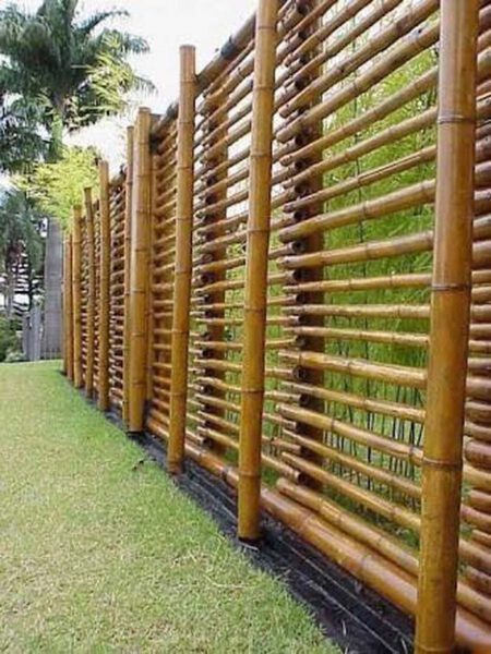 37 Best Bamboo Fence Ideas To Create A Perfect Retreat