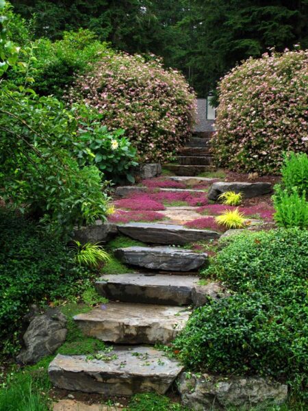 27 Best Hillside Landscaping Ideas On A Budget