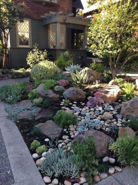 32 Inexpensive Desert Landscaping Ideas For A Perfect Drought-tolerant 