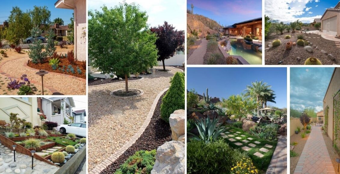 Inexpensive Desert Landscaping Ideas