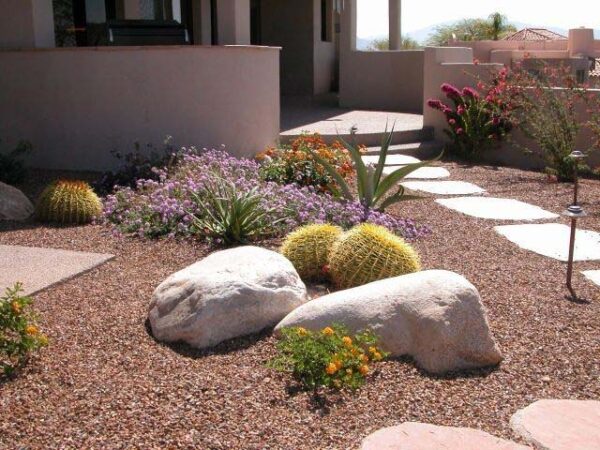 32 Inexpensive Desert Landscaping Ideas For a Perfect Drought-Tolerant ...