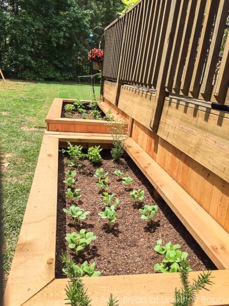 32 Best DIY Raised Garden Bed Ideas and Designs ( With Plans )