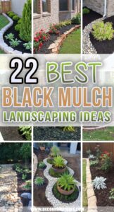 21 Best Black Mulch Landscaping Ideas To Create The Perfect Garden