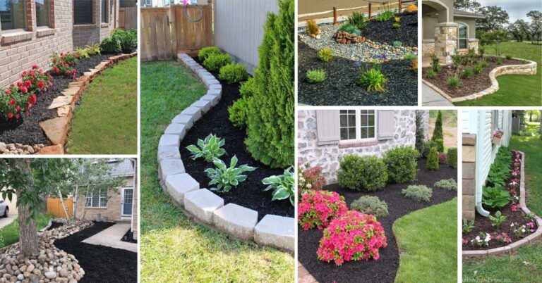 21 Best Black Mulch Landscaping Ideas To Create The Perfect Garden