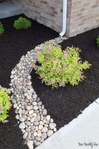 21 Best Black Mulch Landscaping Ideas To Create The Perfect Garden