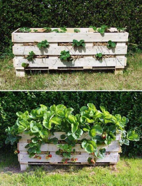 32 Best DIY Raised Garden Bed Ideas and Designs ( With Plans )