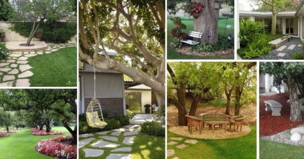 29 Best Landscaping Around Trees Ideas and Designs