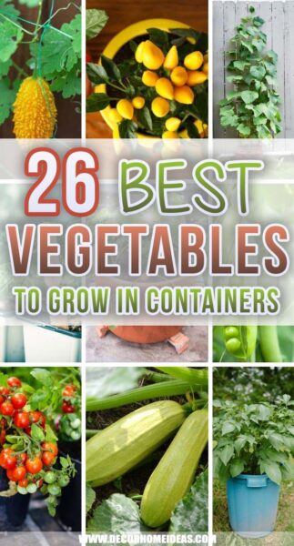 25 Most Productive Vegetables To Grow In Pots and Containers