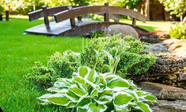 28 Game Changing Rock Garden Ideas For Creating Your Dream Space For   Best Of Rock Garden Ideas 768x464 