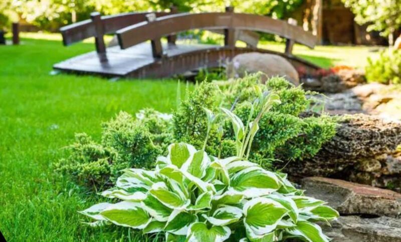 28 Game Changing Rock Garden Ideas For Creating Your Dream Space For   Best Of Rock Garden Ideas 800x483 