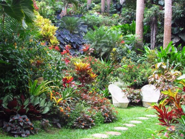 21 Awesome Croton Landscaping Ideas To Add More Color To Your Garden