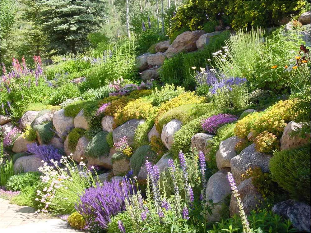 20 Amazing Rock Wall Gardens To Elevate Your Outdoor Space
