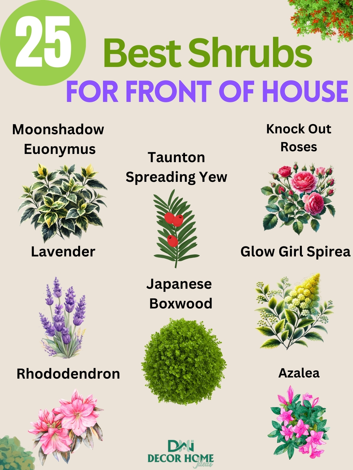 25 Beautiful Shrubs for Front of House That Will Instantly Boost Your Curb Appeal