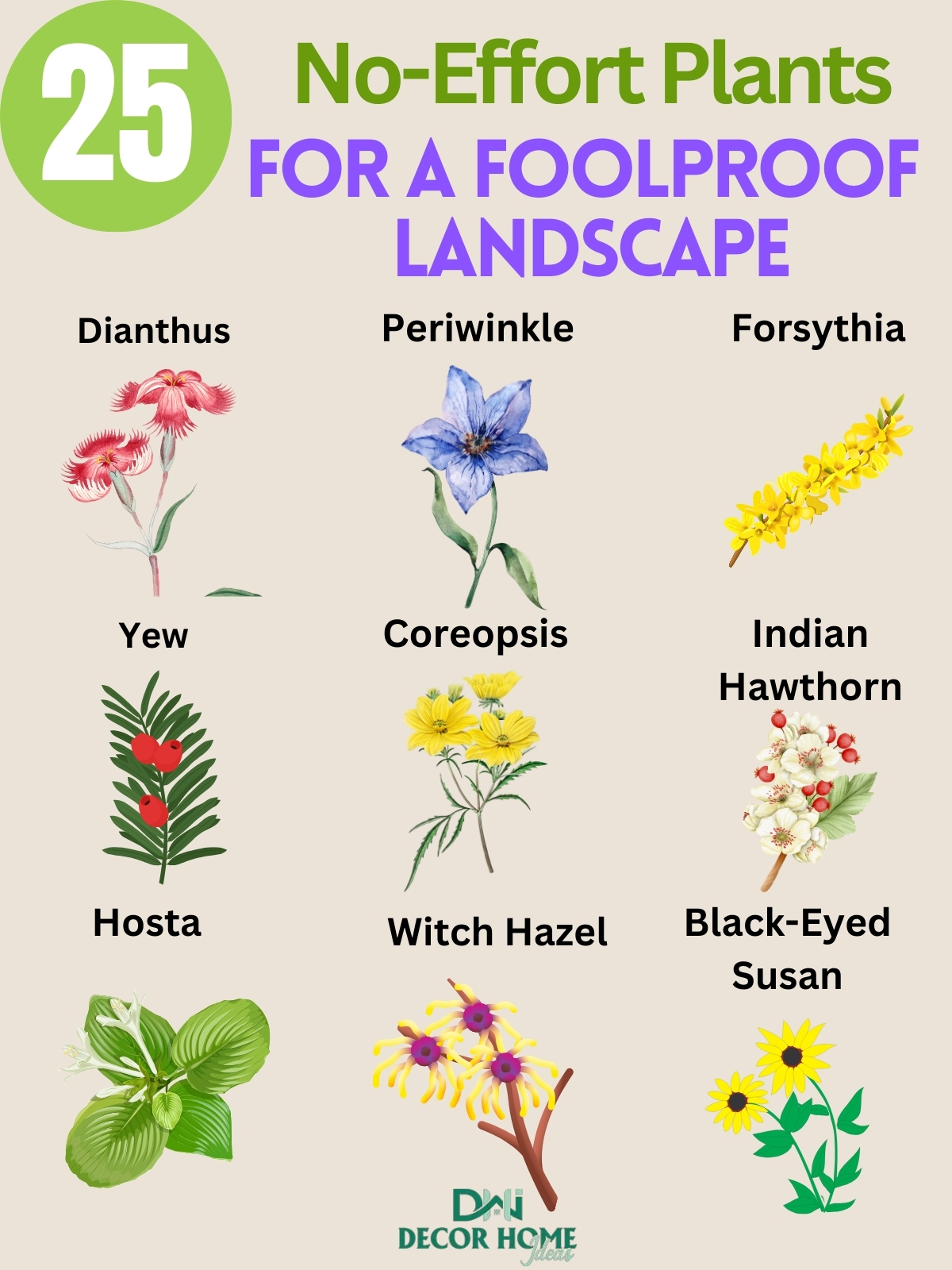 25 No Effort Plants for a Foolproof Landscape