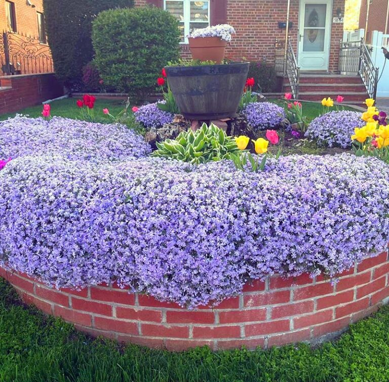 30 Best Flower Bed Ideas (Decorations and Designs) for 2023 | Decor ...