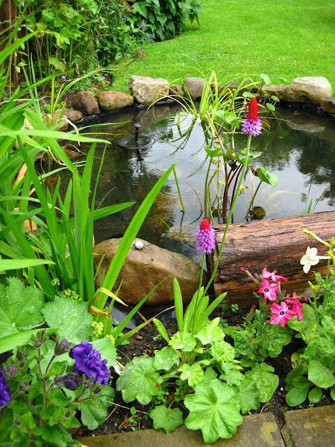 Lawn Is Also A Great Surrounding To A Backyard’s Pond