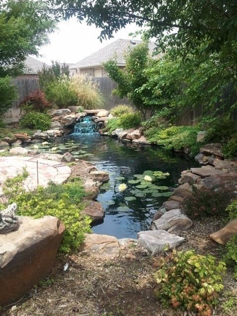 Long And Narrow Ponds Are Perfect For Similar Backyards