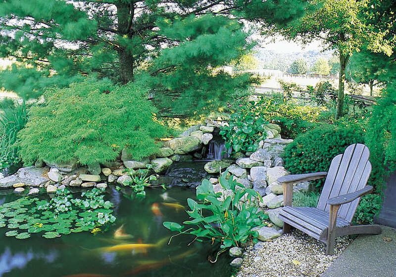 A Weathered Adirondack Chair Should Be Near Every Backyard Pond Because Of The Fact It Fit Nature Surroundings Very Well#4 Adding A Pond To An Small Urban Garden Might Be A Great Way To Spice Things Up